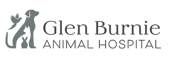 Link to Homepage of Glen Burnie Animal Hospital