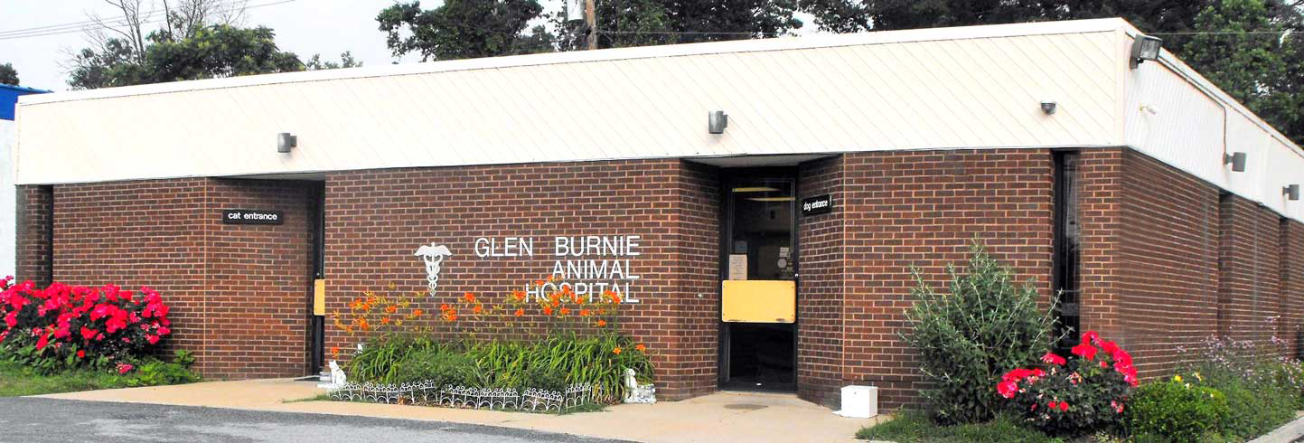 Glen Burnie Animal Hospital | Glen Burnie Veterinarians