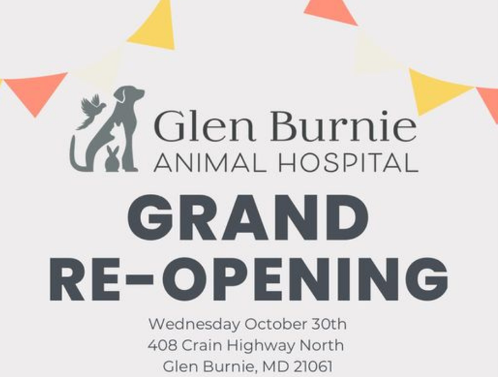 Glen Burnie Animal Hospital Reopening Celebration!